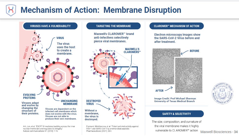 MaxwellBiosci's tweet photo. #CLAROMERS provide the potential to move past the "One Drug for One Bug" pitfalls of therapies like Evushield, which are easily knocked out by viral evolution. Our technology mimics the smarts of your own immune system, disrupting the UNCHANGING membrane of viruses. https://t.co/xPebvWRl8n