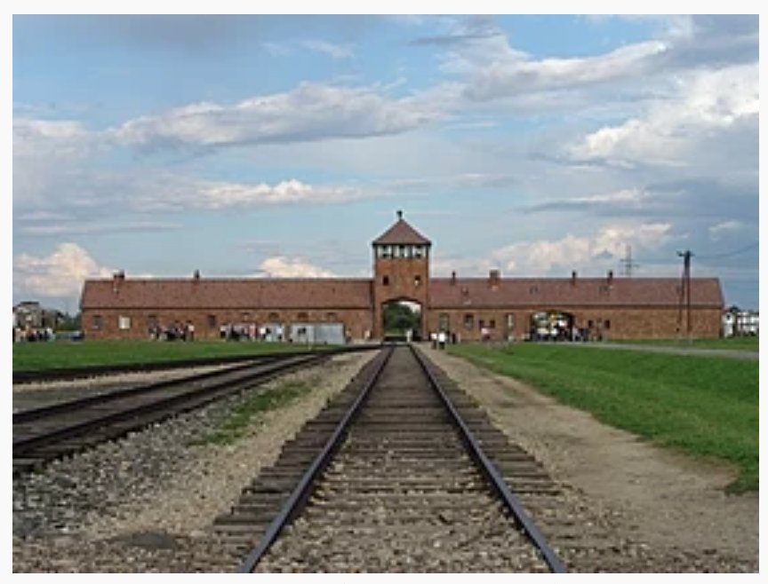 LurguieMickael's tweet image. Il y a 78 ans, les Alliés libéraient Auschwitz, mettant fin au populicide et à cette mécanique de déshumanisation.