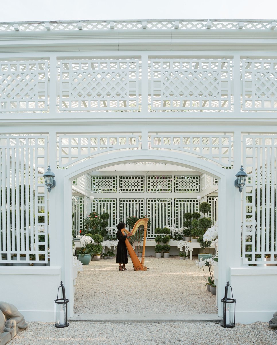 HMR Designs tweet media