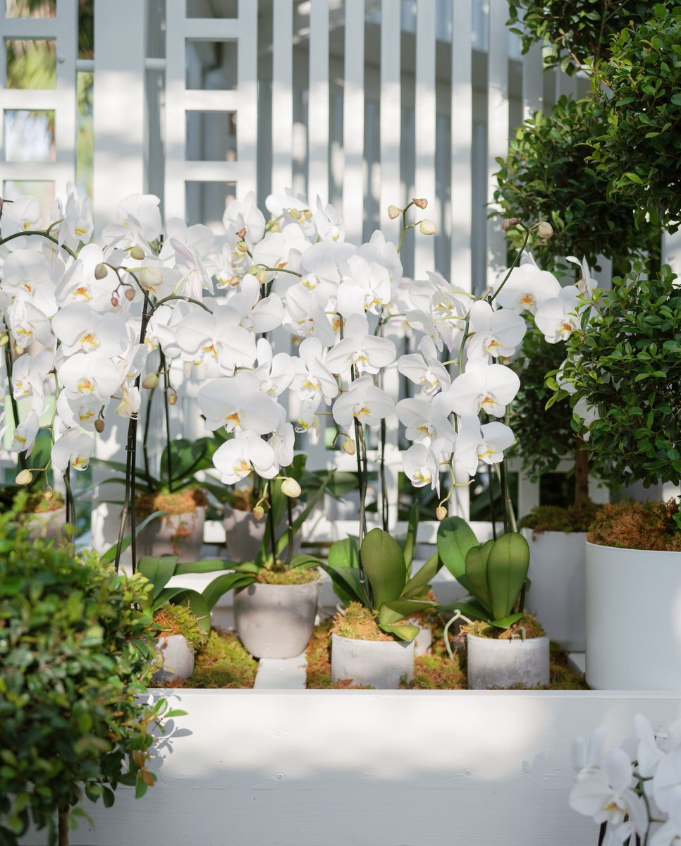 HMR Designs tweet media