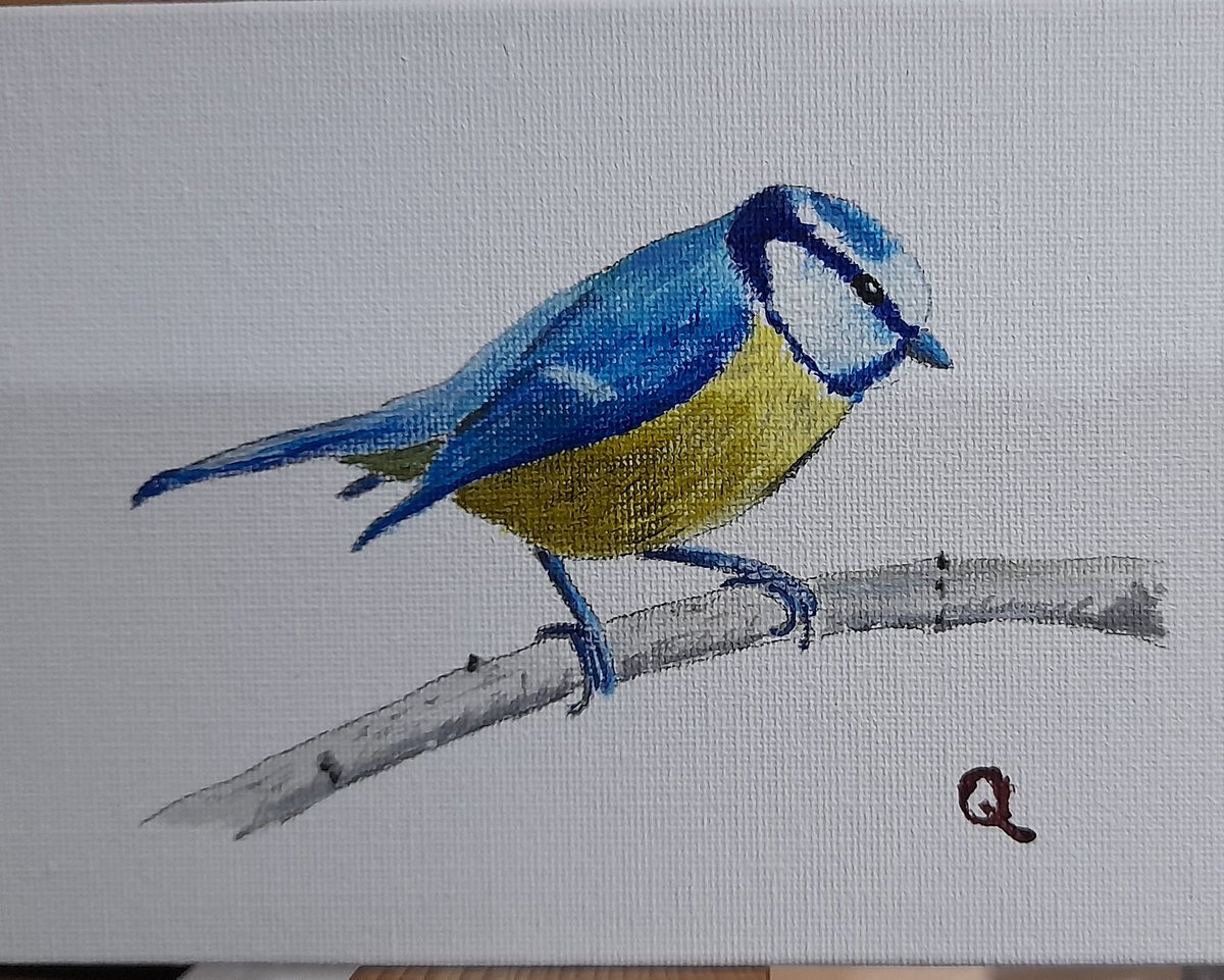 Jabquick's tweet photo. Bluetit in acrylic on canvas board https://t.co/tVkCbE9t5g