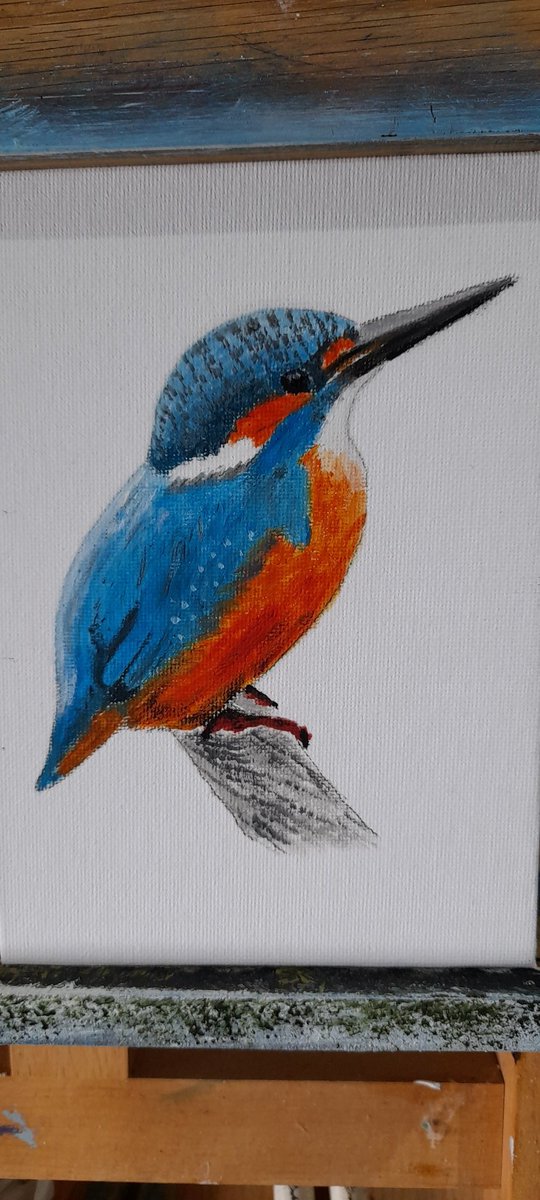 Jabquick's tweet photo. Kingfisher in oil on canvas board https://t.co/k8PIprVz2y