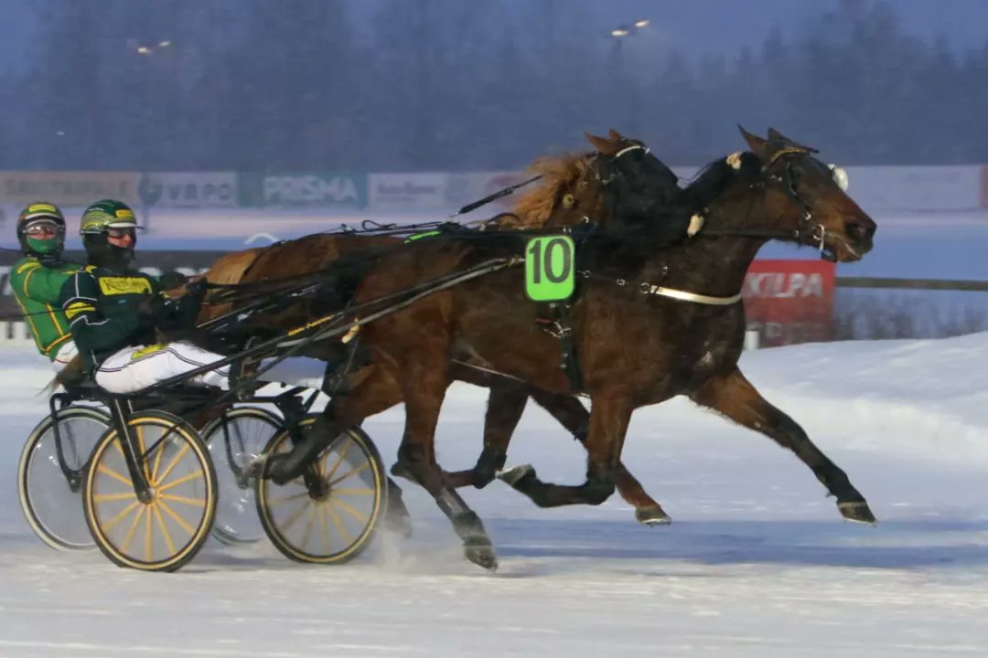 Delightful Moment kiiti voittoon Purkupiha-pronssidivisioonakarsinnassa. Hannu Torvinen ohjasti Isto Kuisman valmentamaa ruunaa, jonka omistaa Talli Hetken Tie Mäntyharjulta. #ravit #lappeenravit #lappeenravirata