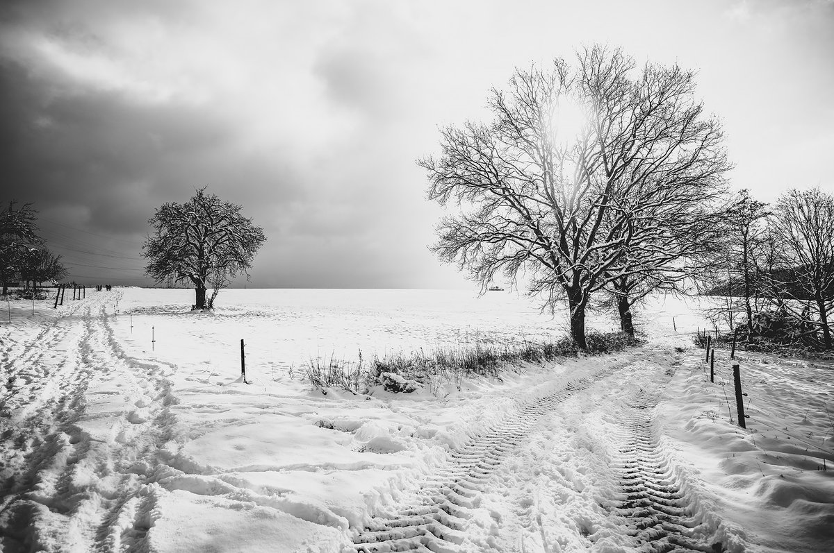 #Snow-covered #landscape ❄️🏞 | #Flickr: kurz.co/gx

🗓 01-2023 | 📷 #LeicaM11 | ⚪️ #SuperElmarM #21mm | #SuperElmar #Leica #LeicaM #LeicaCamera #ライカ #photo #photography #madeinwetzlar #areal #bnw #monochrome #blackandwhitephotography #M11