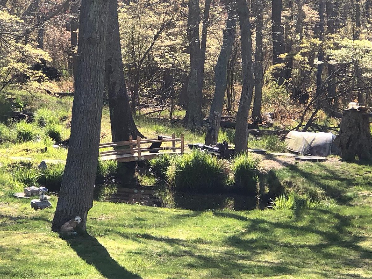 New town every hour on Twitter "East Islip, New York Population