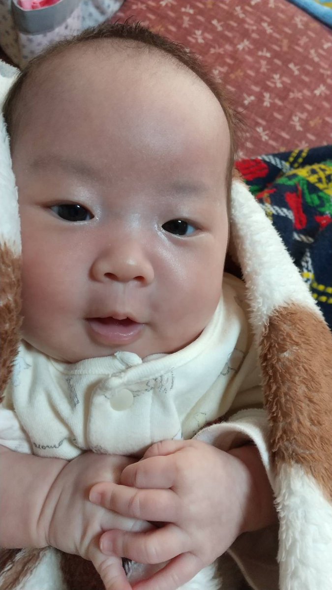 BUFFERIN_Luna_7's tweet photo. なんかすげー顔丸くなってきた https://t.co/TGJ3r0Ox3D