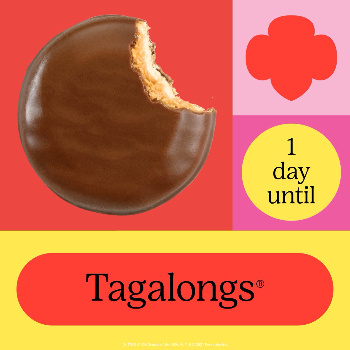 sdgirlscouts's tweet photo. Girl Scouts, get your rest tonight because it’s the eve of #GirlScoutCookieSeason, and we’re so excited! Only ONE more sleep until Girl Scout Cookies®!
#sdgirlscouts #gssd #BestPlace4Girls #cookies #gscookies #gssdcookies #girlscoutcookies #girlscoutcookieprogram https://t.co/BXgh7ejEfl