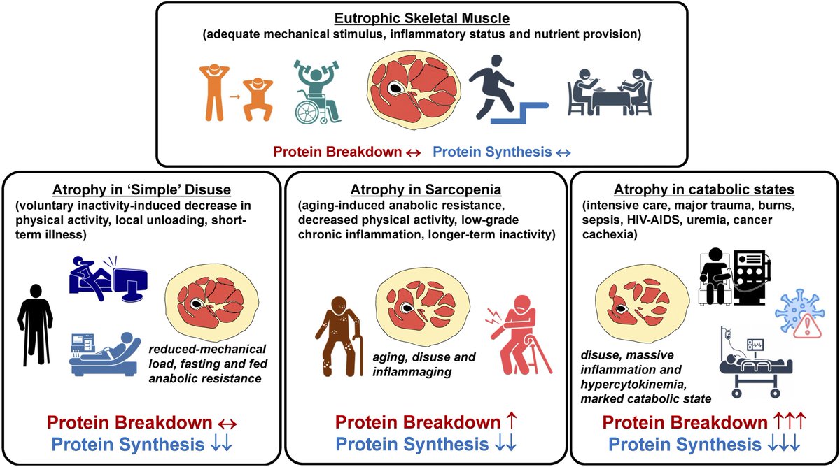 Stuart Phillips (he/him) tweet media