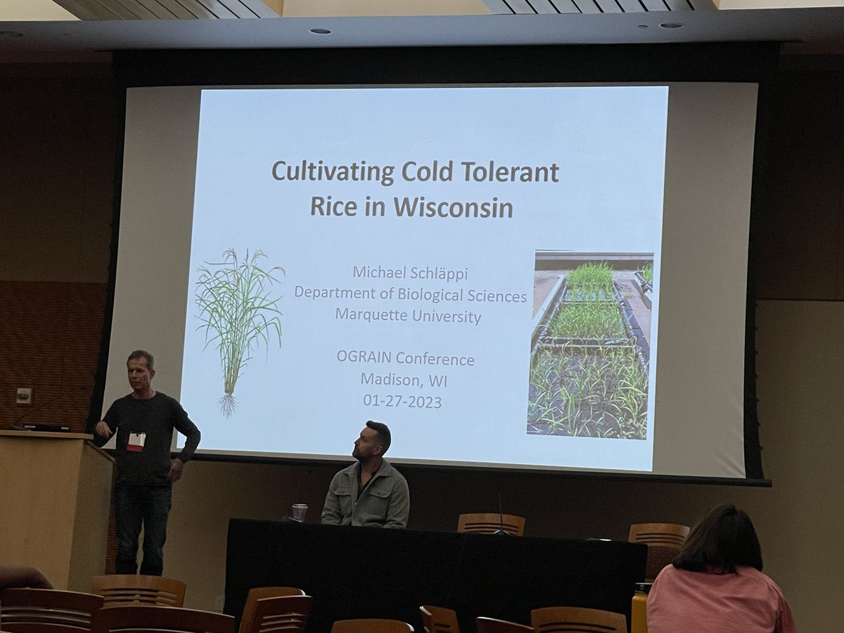 It's been great hearing from farmers and ag folks at the annual #OGRAIN meeting in Madison. Researchers in WI innovating around rice production for the Midwest; able to produce 5000#/ac in spite of logistical challenges. <a href="/graincollab/">Artisan Grain Collab</a> <a href="/UOgrain/">uw_OGRAIN</a>
