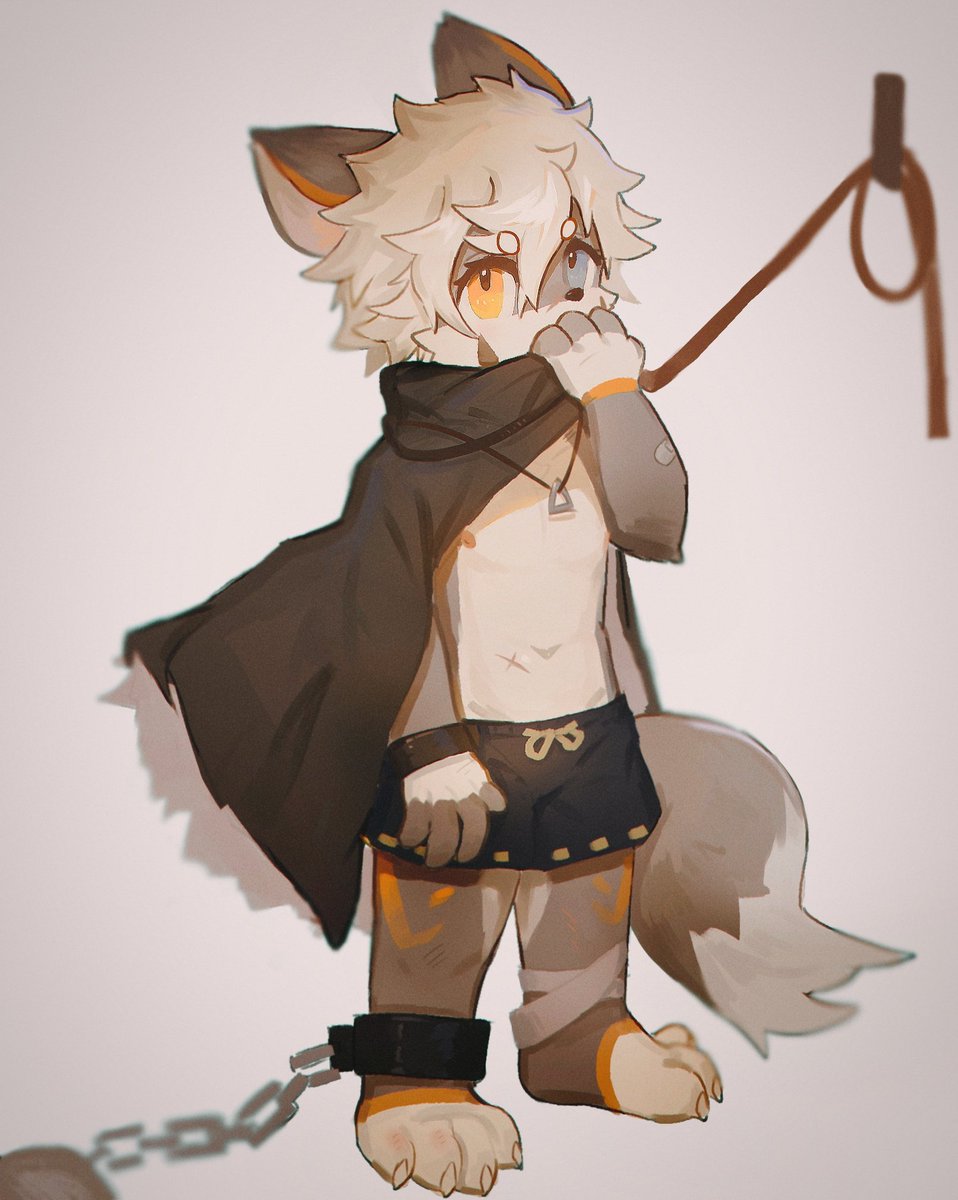 1gVIucNgyGvJqqS's tweet photo. #furry 
捡个兽太 家人们 https://t.co/OX3RblZxXZ