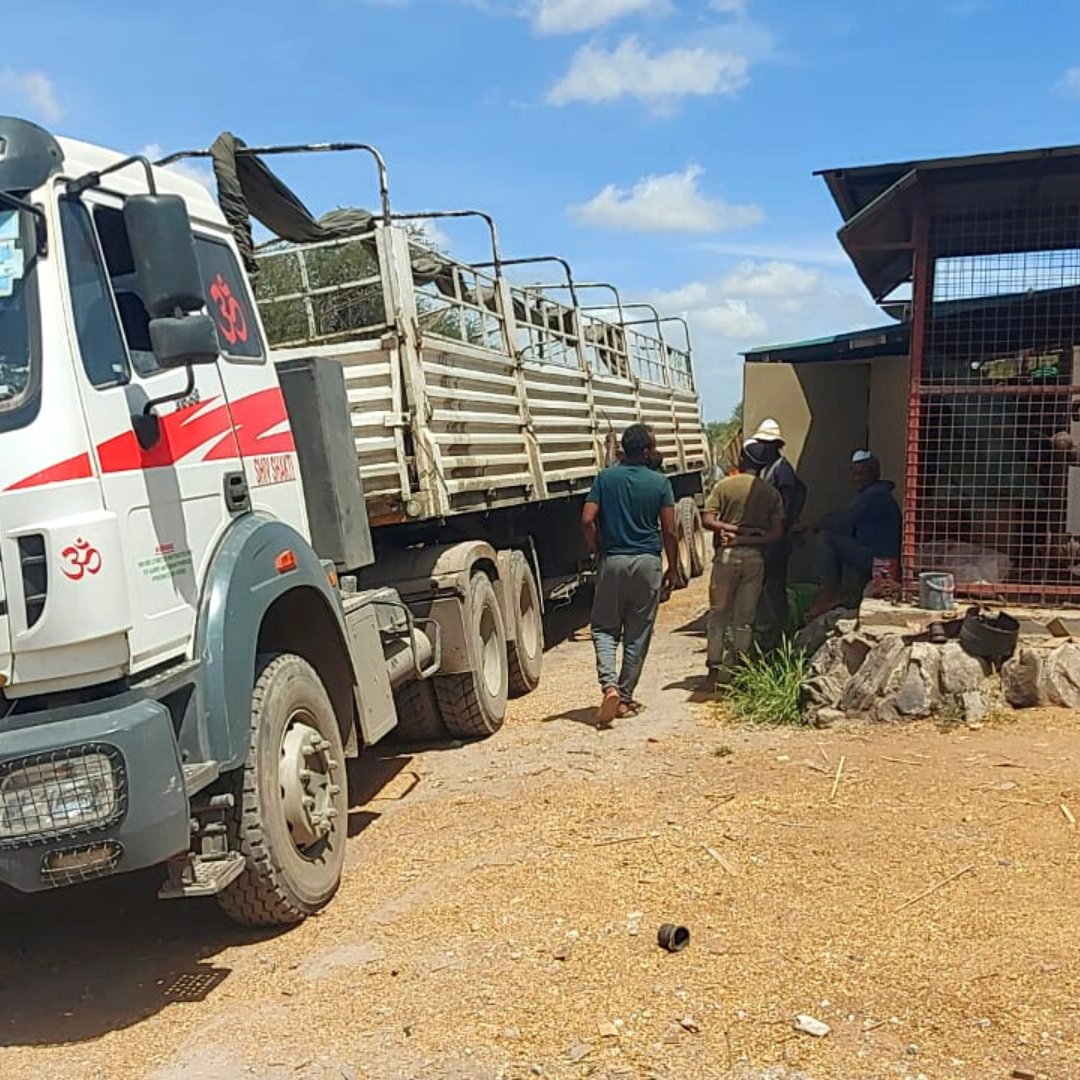 @LionsBluffLodge, @LeopardsLairCottages and @CheetahTentedCamp, have set out through our Community Wildlife Conservation to build a Digital Lab for the children of the Mlughi Primary School in the Taita Taveta County. With the generous gesture of well-wishers, 400 bags of cement