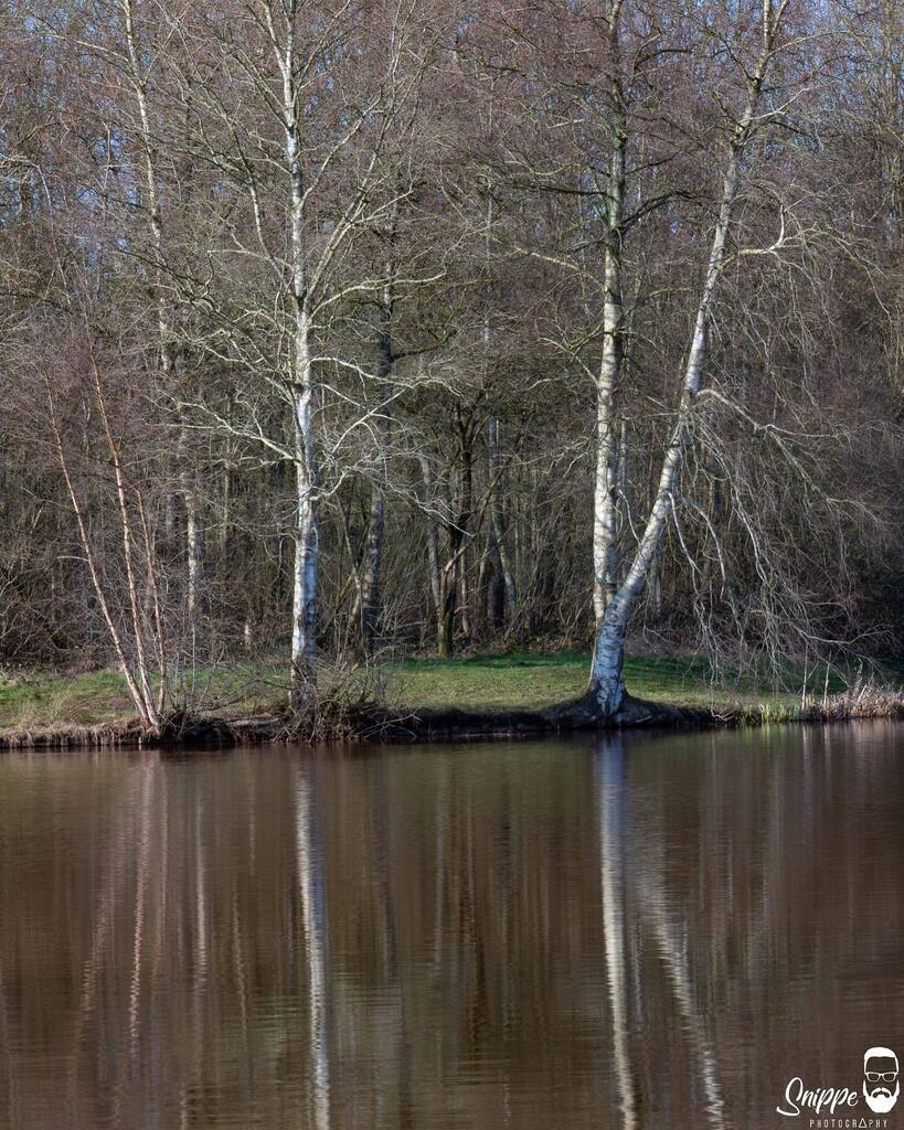 Reflection in the water.  On A calm day with little wind.  then I definitely look for places like this. I love it.

Reflectie in het water. Op Een rustige dag met weinig wind. dan zoek ik zeker dit soort plekjes op  Ik hou er van. 

zoomnl #zoom_nl #igholland #ig_discover_holl…