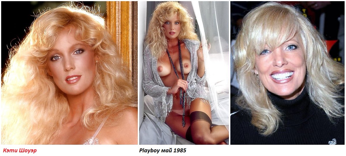 Александр Венич 🐾 tweet media