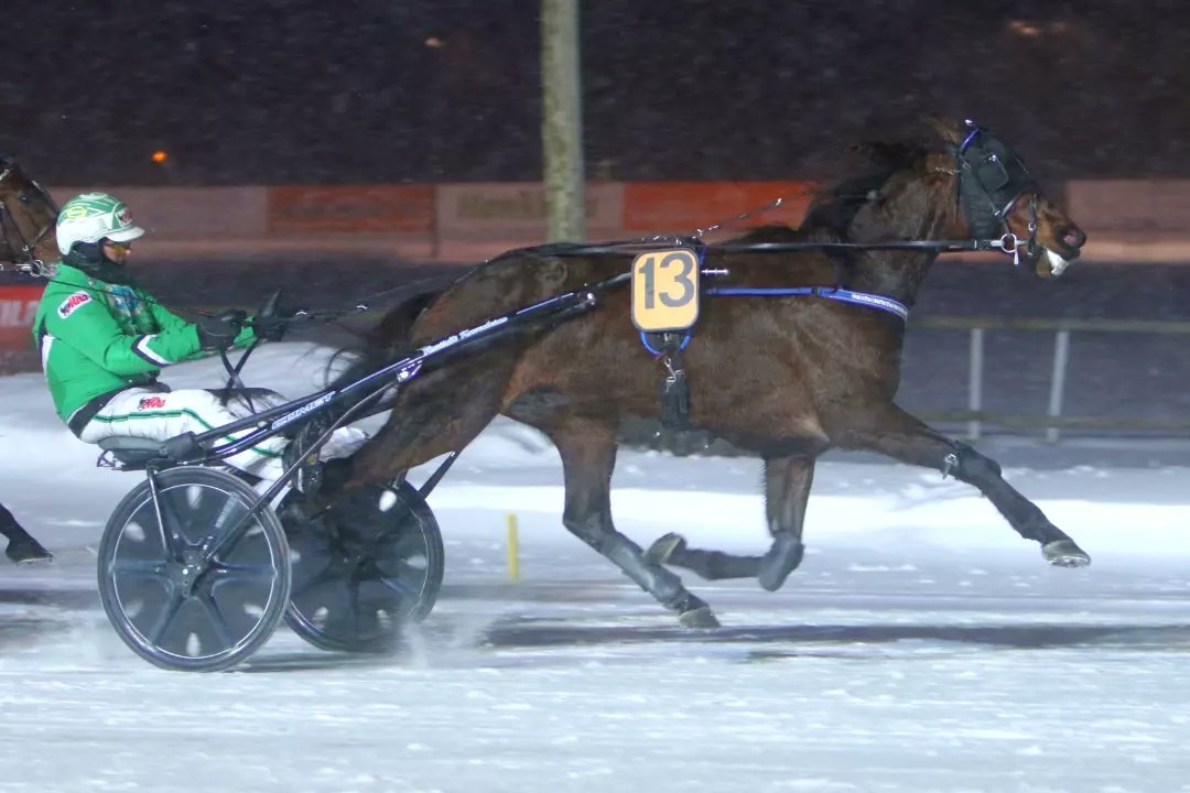 Numerotalo Oy Haastaja- vs. Kultadivisioonakarsinnassa jaksamistaan esitteli Sahara Sandstorm. Ari Moilanen ohjasti Timo Korvenheimon valmennettavaa, jonka omistaa Team Hiekkamyrsky Ilomantsista. #ravit #lappeenravit #lappeenravirata