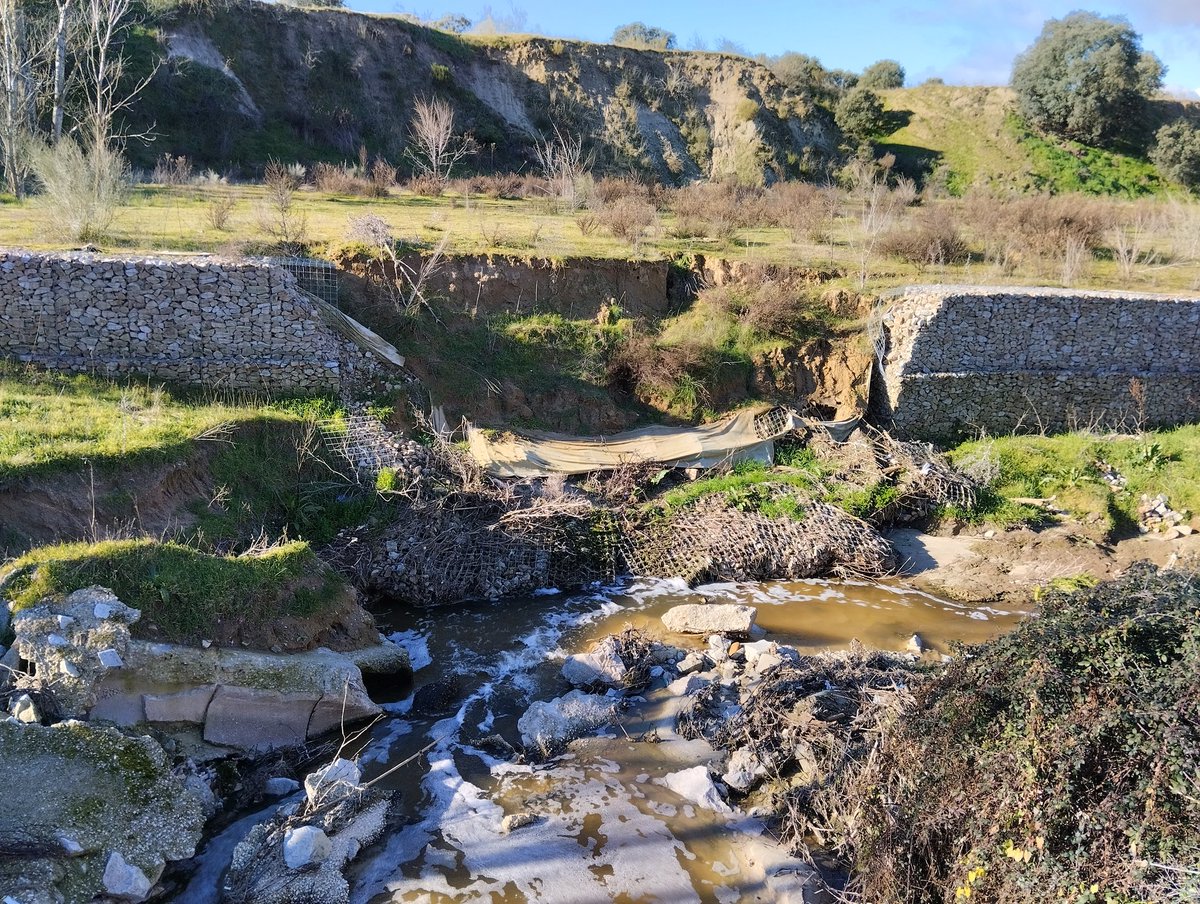 La ignorancia de los ingenieros del ayuntamiento de #Majadahonda y la codicia de algún concejal conduce a obras inútiles, daños ambientales y perdida de recursos. Confluencia del arroyo del Plantío con el de Majunquera.