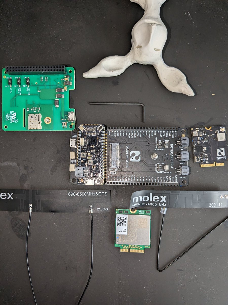 Thanks @blueswireless for the care package, about to dig in. 💙

(clay bunny is bench companion)