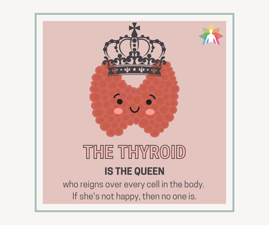 VBThermography's tweet photo. 👸Remember, your thyroid is the queen and it's essential to keep it healthy! https://t.co/79bGuSOYVS