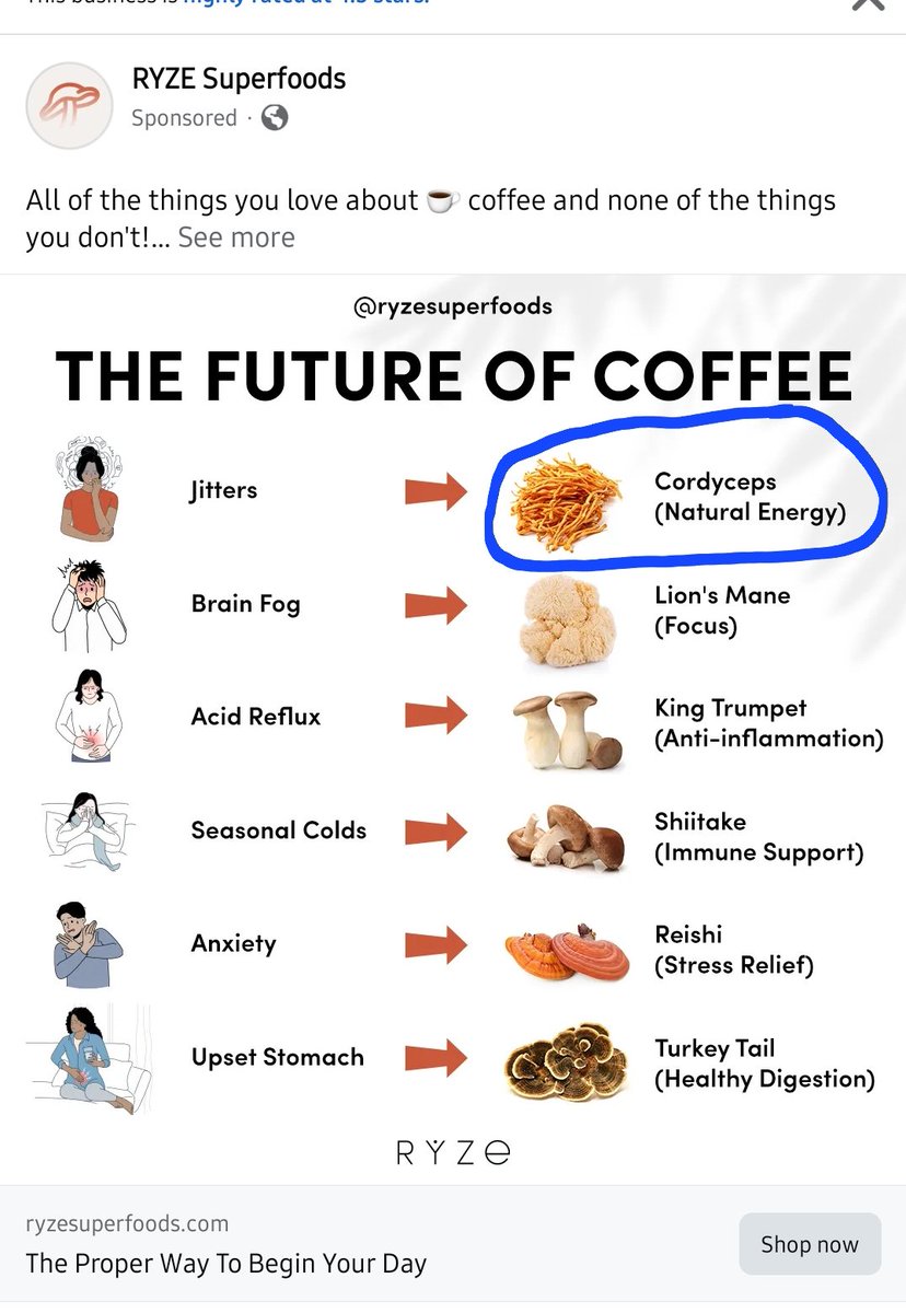 HoustonMark's tweet image. Hey @MalloryRubin &amp;amp; @jowrotethis, y'all should drop the coffee! Evidently, cordyceps are just as good!