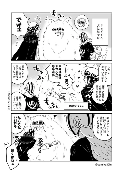 Big dog 🌷
キドロ 