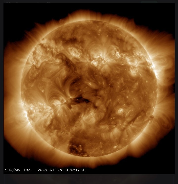 GinnyBourdeau's tweet image. HOLY FRIK MOTHER?!!!