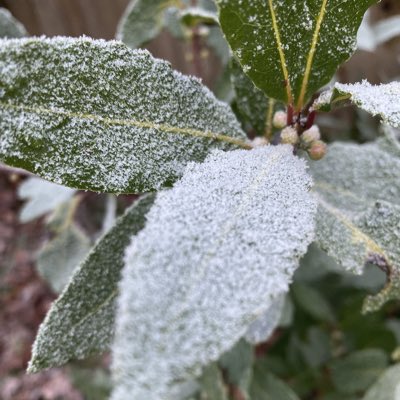 MMDuke1's tweet image. #NewProfilePic