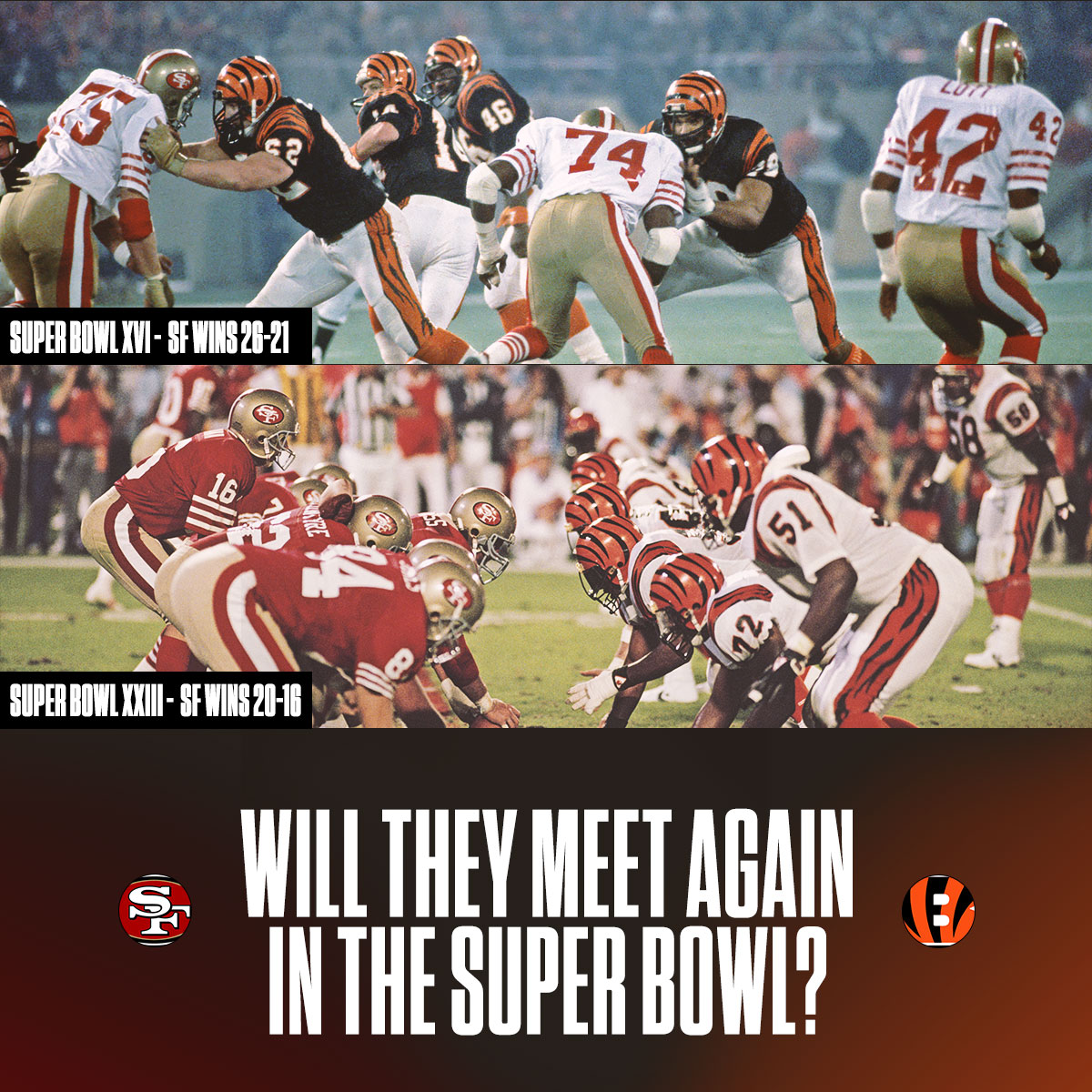 bengals 49ers super bowl