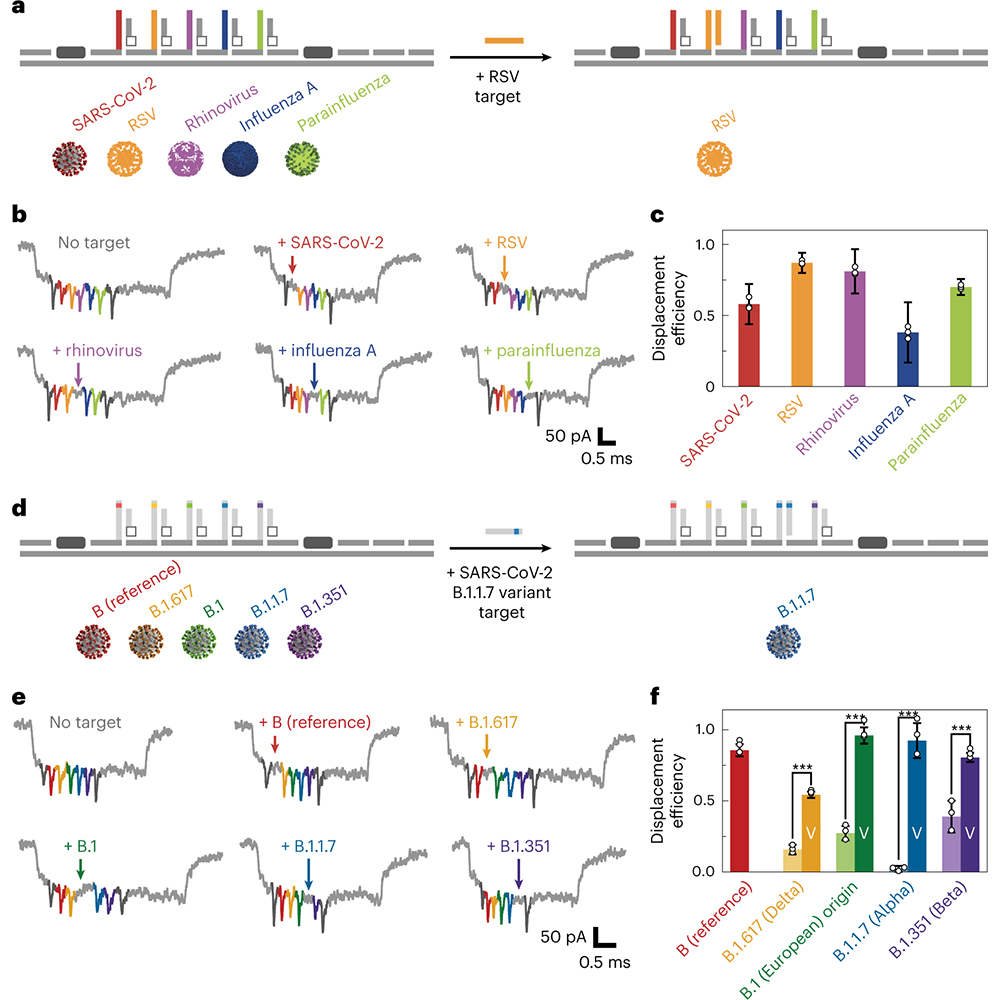 Nature Portfolio (@natureportfolio) on Twitter photo A <a href="/NatureNano/">Nature Nanotechnology</a> paper presents a self-assembled DNA nanobait that can concurrently identify several common respiratory viruses, including several key SARS-CoV-2 variants. go.nature.com/3ZXyZ3y A <a href="/NatureNano/">Nature Nanotechnology</a> paper presents a self-assembled DNA nanobait that can concurrently identify several common respiratory viruses, including several key SARS-CoV-2 variants. go.nature.com/3ZXyZ3y