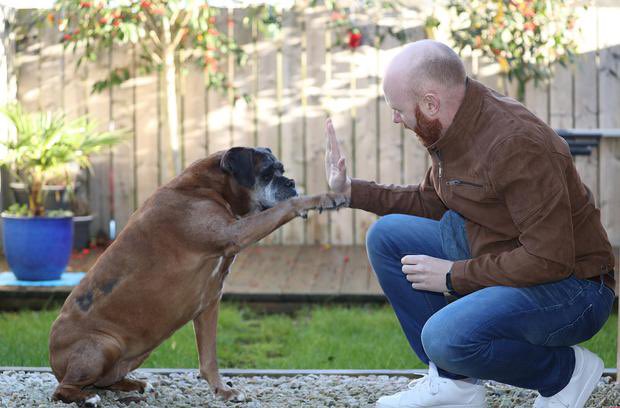 Barra Best tweet media