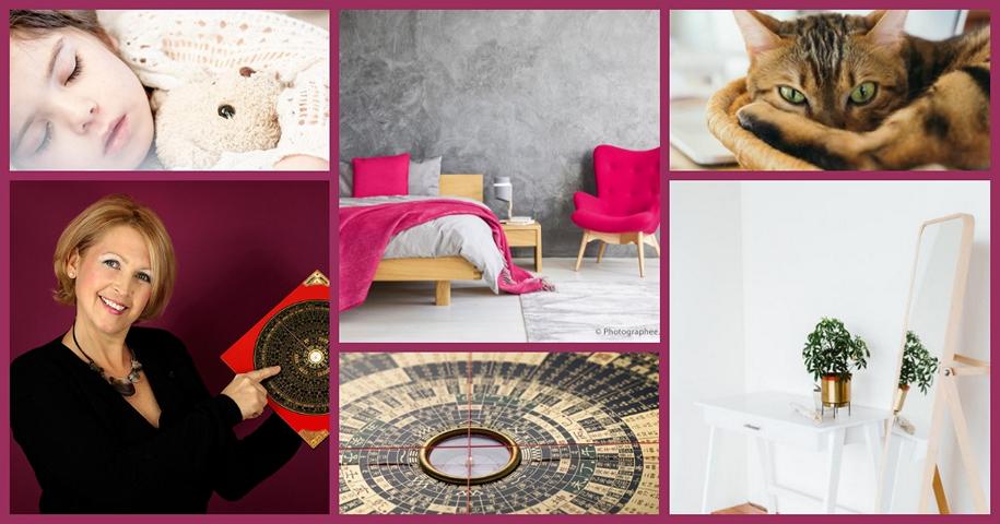 digistore24.com/redir/453060/a…

Become a successful Feng Shui consultant!