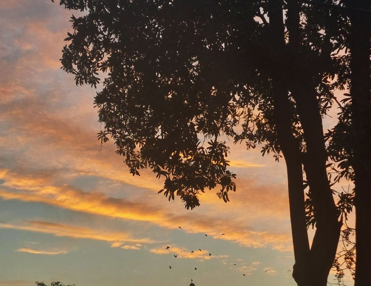 AfshanMasab's tweet image. موسم سارے لے آنا ۔۔۔۔
🫶🏾🕊🌅❤️‍🩹
#sunset #Lahore #NativeMedia