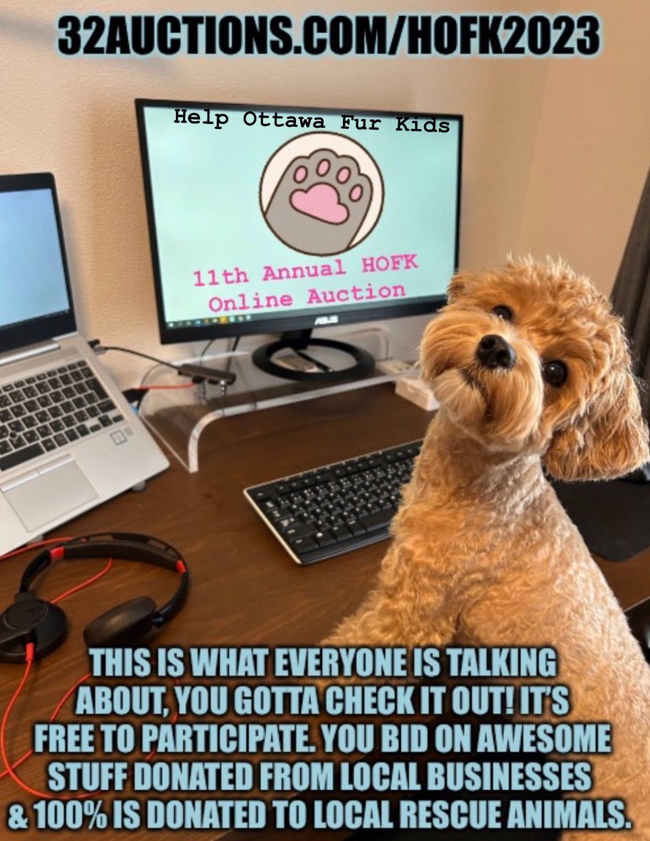 Here is the Auction Link Preview: 32auctions.com/HOFK2023 🐾❤️🐾