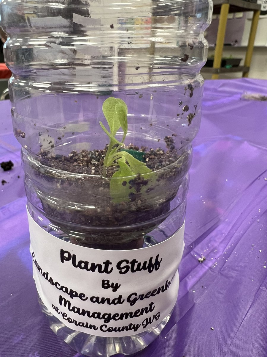 KiserClass's tweet image. Thank you to @LorainCountyJVS for an awesome #STEM lesson. These young scientists are excited to grow their own hydroponic lettuce. #LearnByDoing #MakeTimeForScience