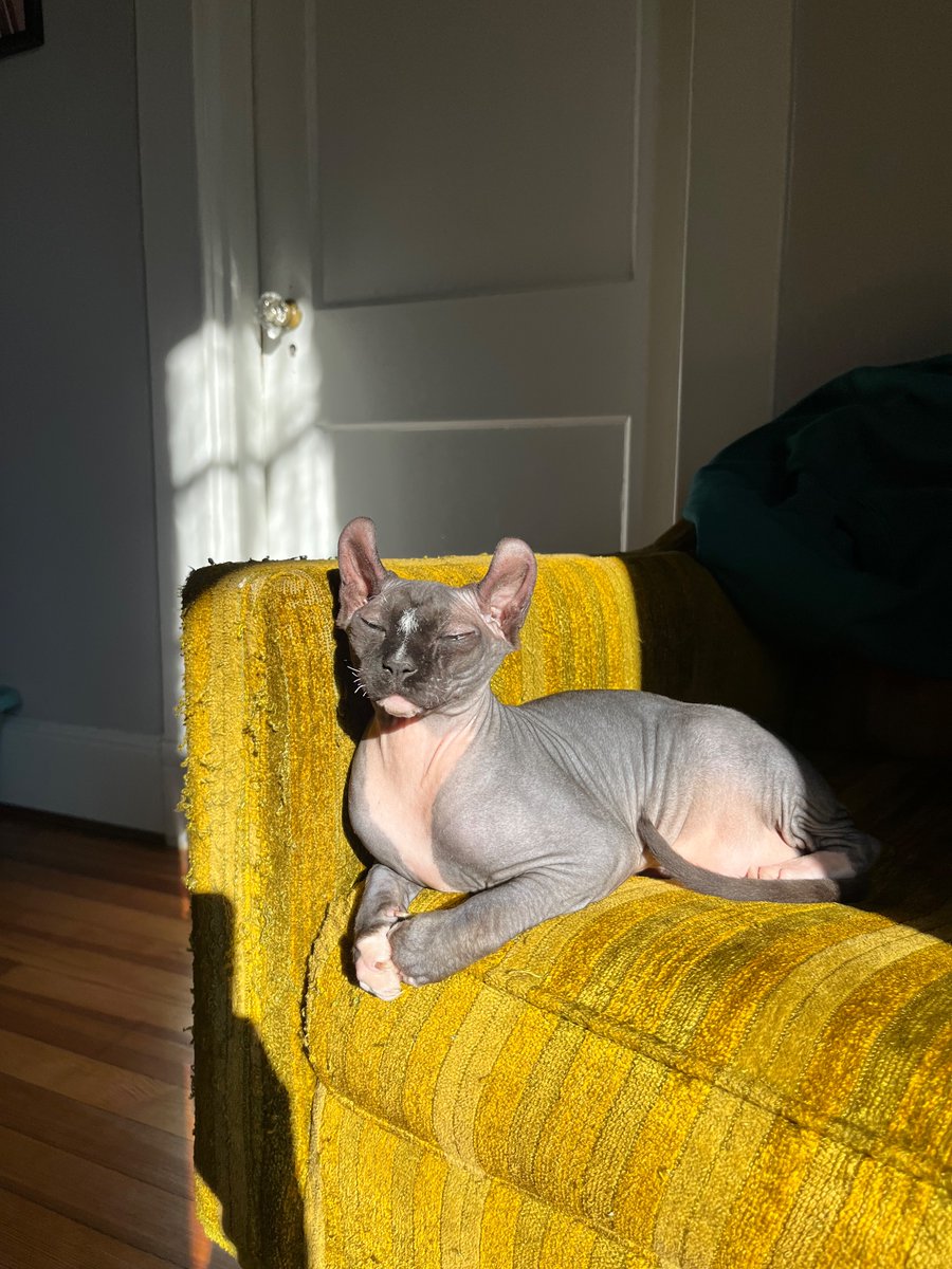 Rachel Anderson tweet media