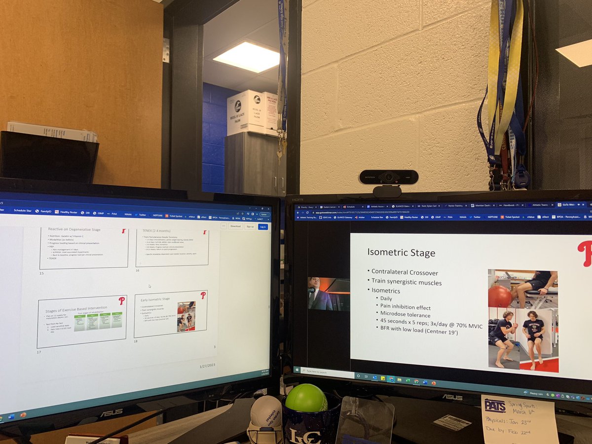 Michelle Chamberlain tweet media