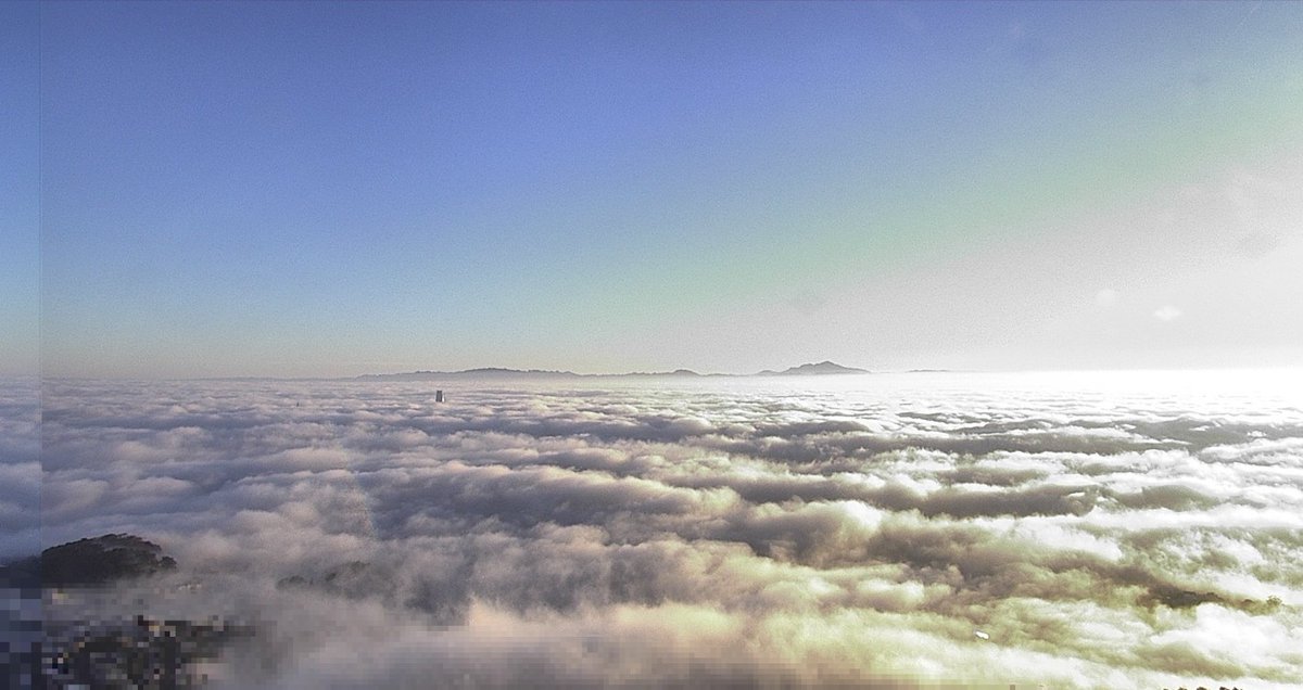Sutro Tower @sutrotower. bsky.social tweet media