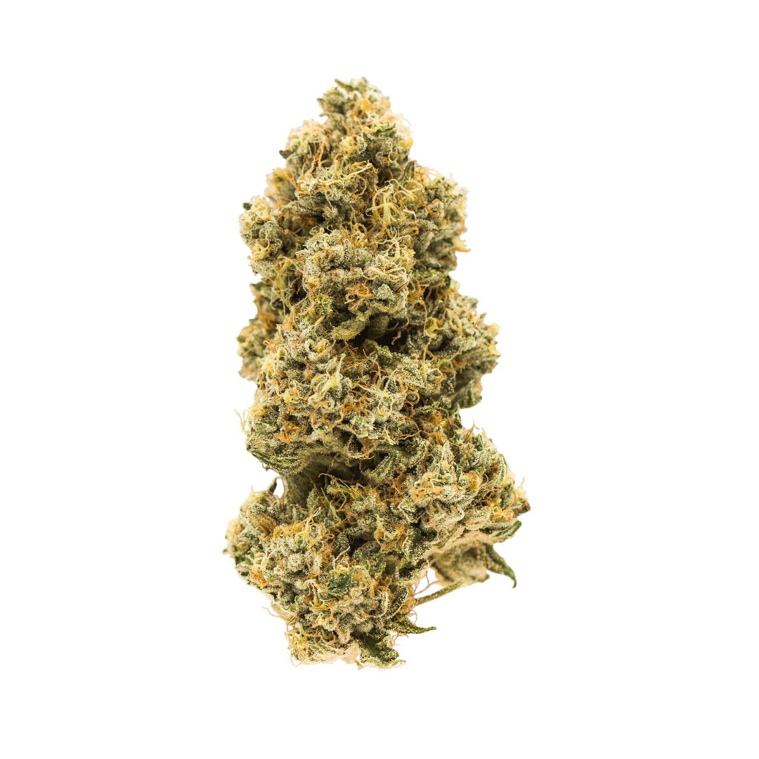 ANIMAL FACE IS AN ULTRA-POTENT, FLAVOURFUL SATIVA THAT PACKS A PUNCH. OUR VERSION OF ANIMAL FACE WAS SELECTED OUT OF 100 DIFFERENT PHENOS, NOT ONLY FOR ITS HIGH POTENCY AND TERPENE PROFILE, BUT ALSO BECAUSE WE LOVE THE UNIQUE FLAVOURS OF LEMON AND CAKE.

#topshelf <a href="/carmelcannabis/">Carmel Cannabis</a>