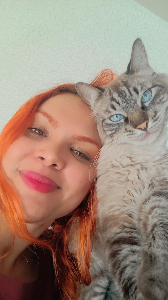 LidianeMarque17's tweet photo. Hum que gatinho https://t.co/jX8xYPIN7m