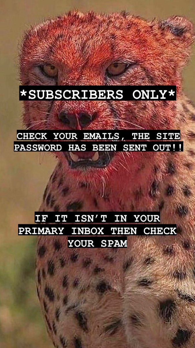 leonharrisca's tweet photo. https://t.co/QBikX5F5ud https://t.co/kGtIZIfGFg