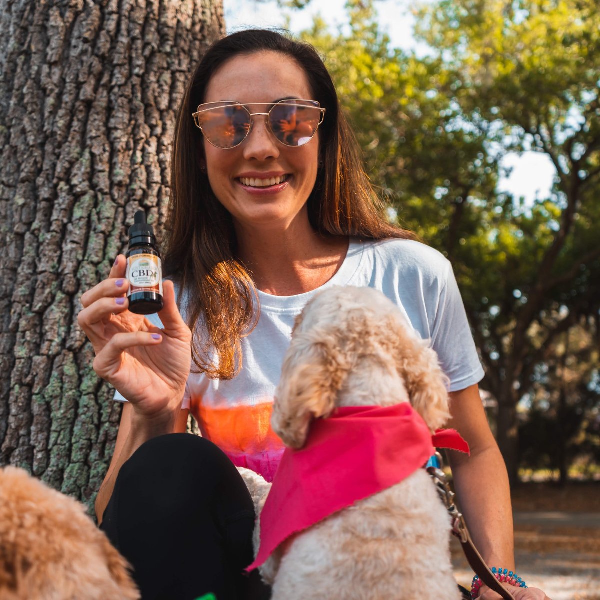 SustainableCBD's tweet photo. This doggo knows how to sit when it comes to getting his favorite treat: Salmon flavored Sustainable CBD Dog Formula!
#cbd #cannabis #fullspectrumcbd #dogcbd #cbdpets #cbdpet https://t.co/ULsd5Uo5AO