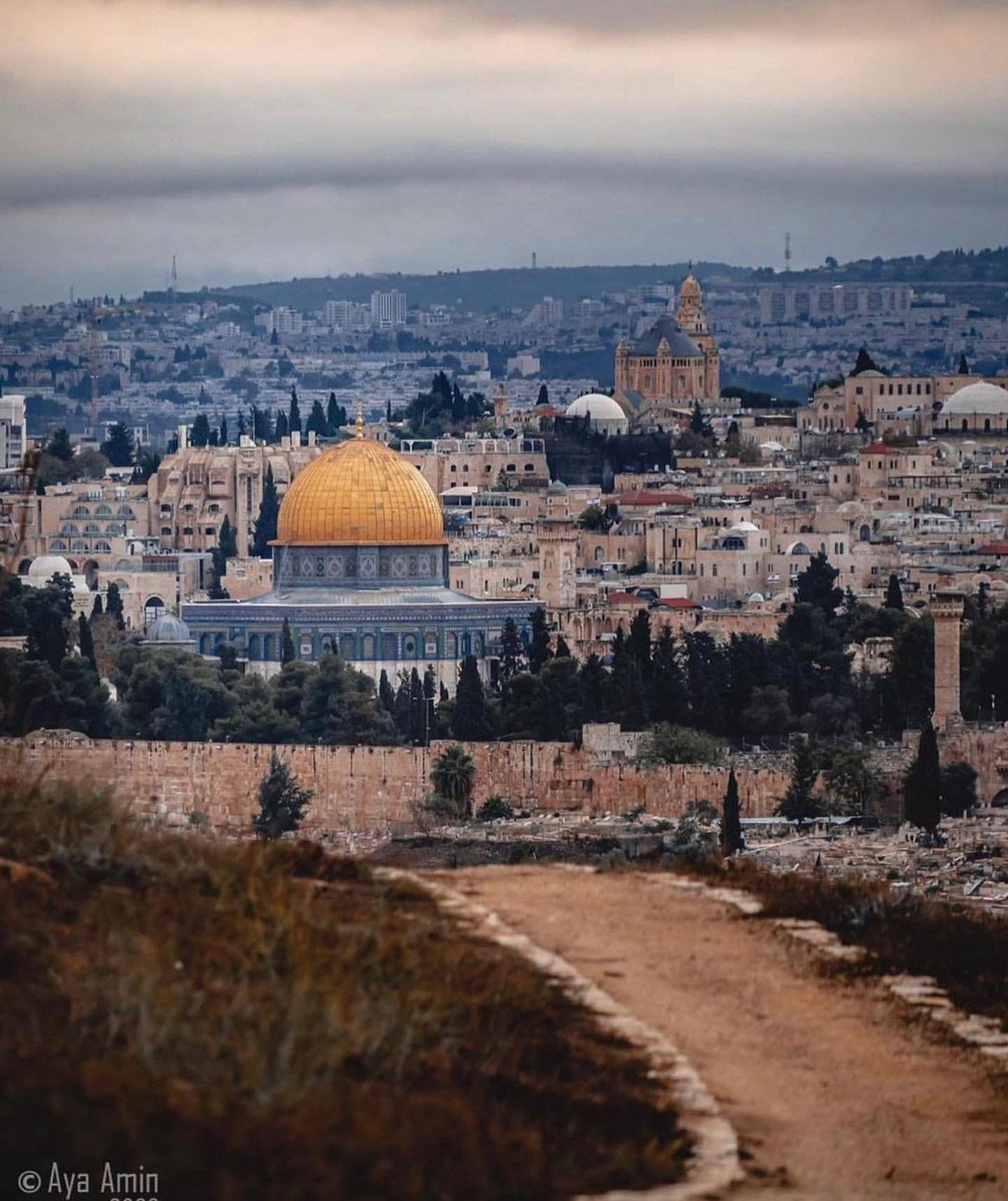 MuhammadSmiry's tweet photo. Palestine will be free 🇵🇸 https://t.co/NBR2ktUWc5