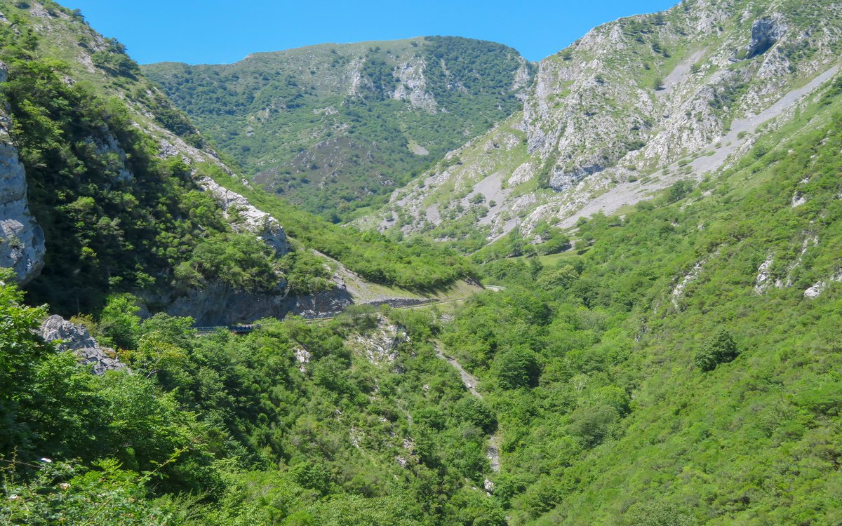 AsturCycling's tweet photo. Route 4 - The Legendary Lagos de Covadonga
#colladallomena #ponga #parquenaturaldeponga #cyclingshots #cyclingtours #cyclingadventure #cyclingphotos #cyclingholidays #trip #cycling #landscape #beautiful #style #health #luxurylife #travelphotography 🌍: Collada Llomena https://t.co/LNYmAVUZZW