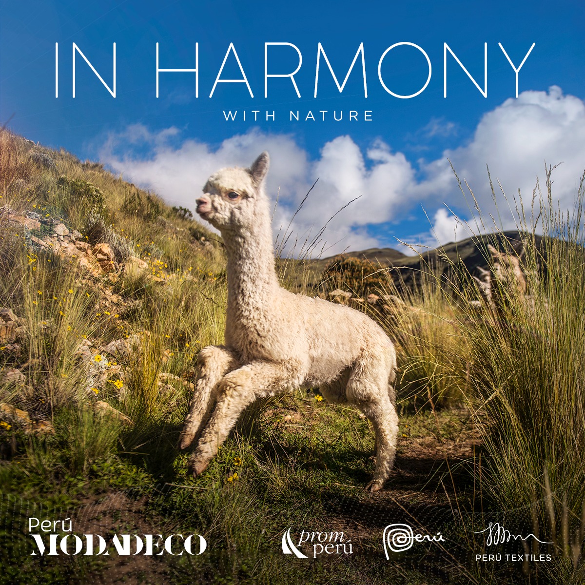 Promperu's tweet image. En #PerúModaDeco, el cuidado de la naturaleza es nuestra prioridad, es por ello que la #ofertaexportable se caracteriza por su compromiso sostenible y el comercio justo. 🧵🇵🇪

Una ventana para conectar empresas peruanas con compradores internacionales.

👉🏼 perumoda.com