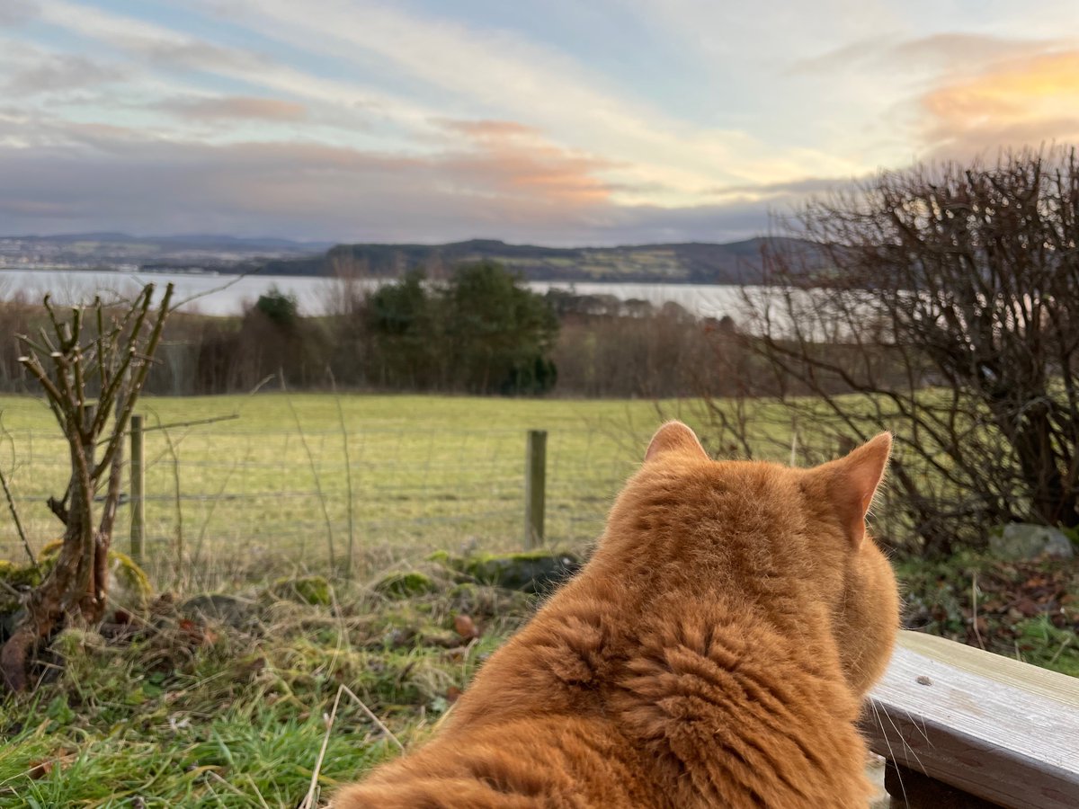 scottishsharpy's tweet photo. Slightly different pic of the day today but too cute not to show the company I had on the garden seat this afternoon π₯° #CatsofTwittter #photooftheday #viewfromthebench https://t.co/0yetcCn1JJ