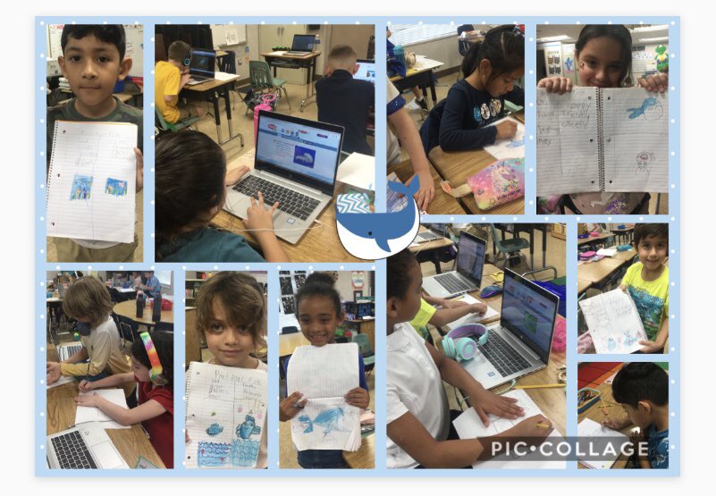 Reading, researching, and diagramming ocean animals! <a href="/VineyardsVipers/">Vineyards Elementary</a> <a href="/VESMrsRuff/">Melissa Ruff</a>