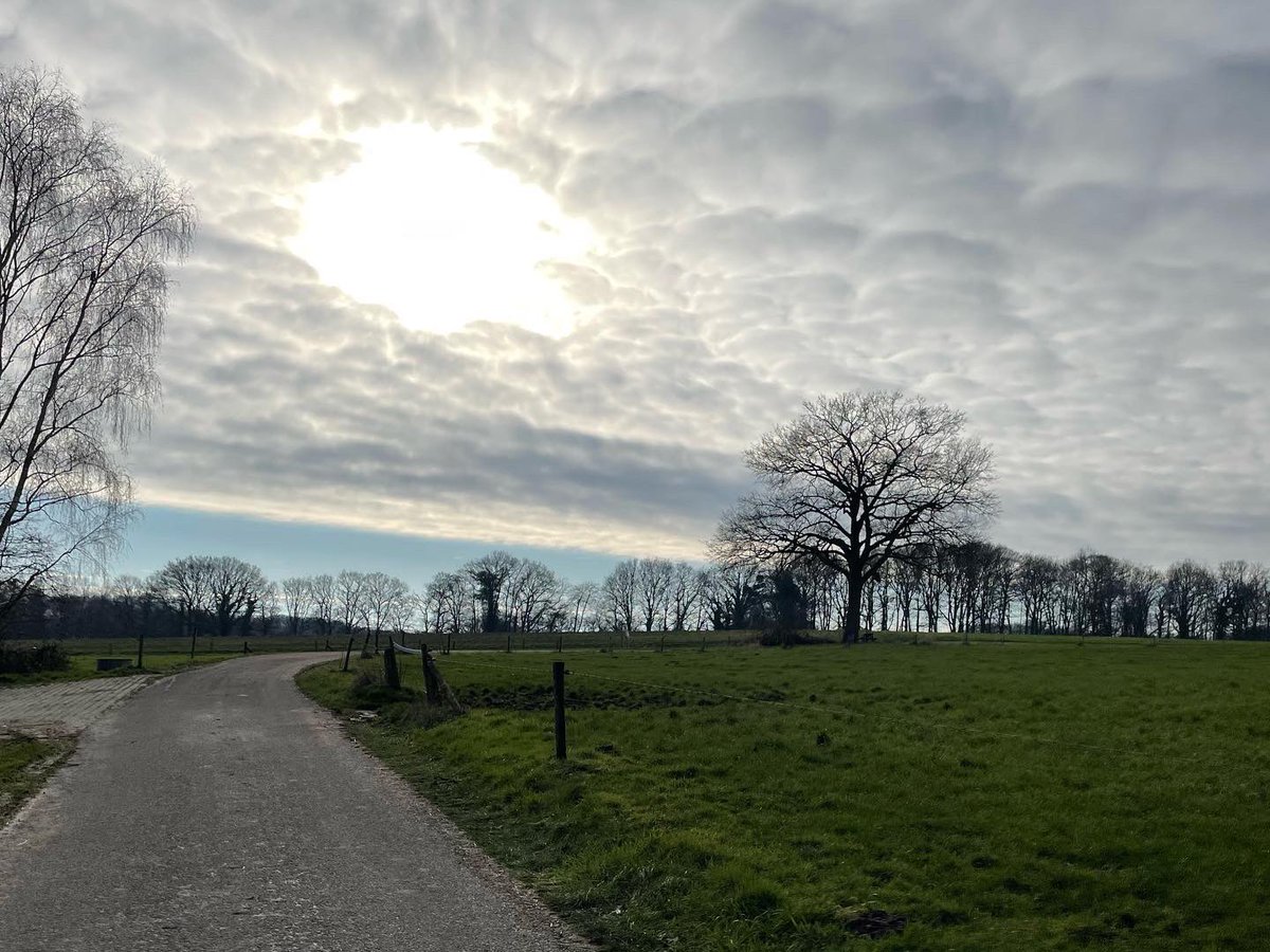 GastEllen's tweet photo. Samen met @WaandersR wandelde ik van Beuningen naar Oldenzaal over het mooie #Twentepad https://t.co/so1KOpCHSF