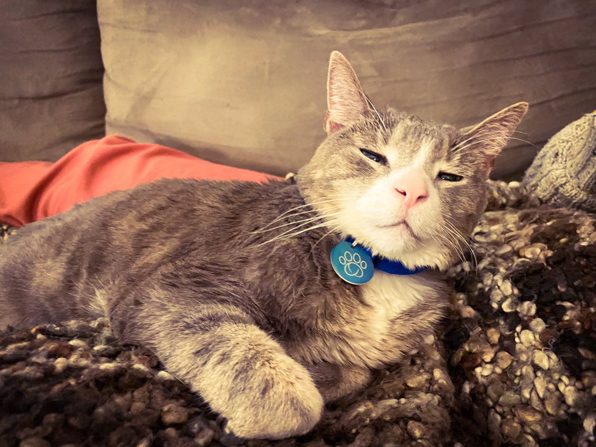 Chris Barron tweet media