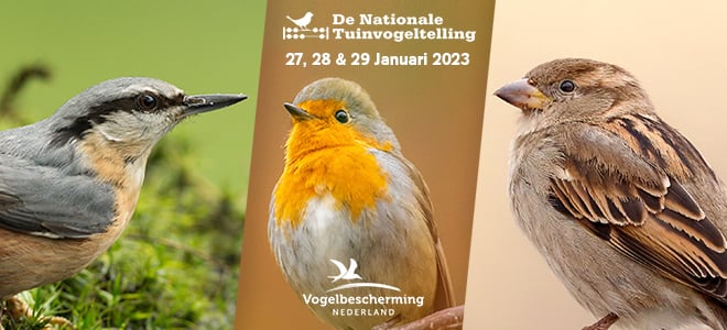 De Tuinvogeltelling is begonnen ! 🐦 - mailchi.mp/honingland.nl/…