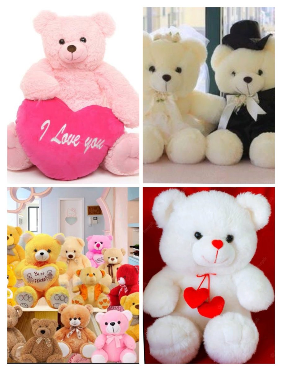Beautiful  Teddy bear🧸🧸🧸