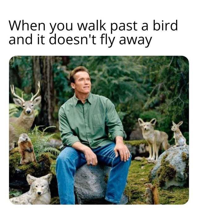 WholesomeMemes (@wholesomememe) on Twitter photo 