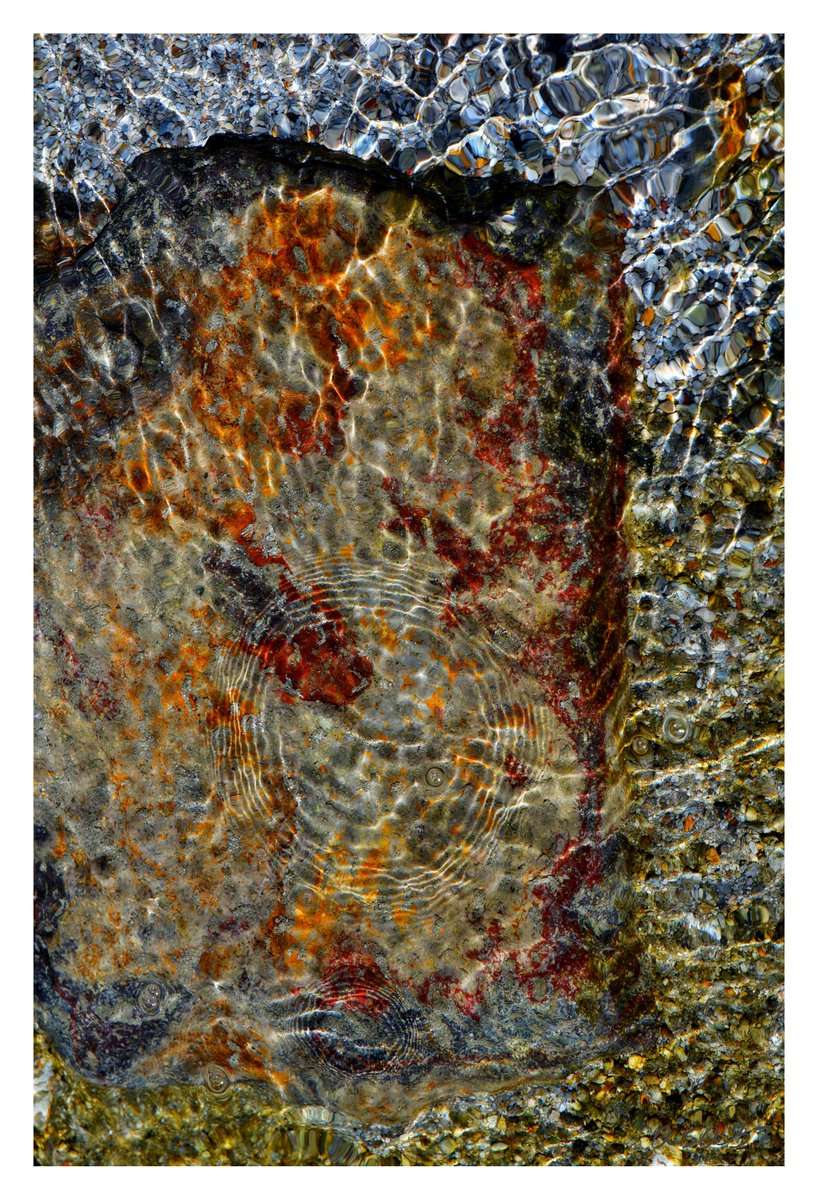 and2ia37's tweet photo. Abstract nature
https://t.co/AeYEJxKTM4

#NFTs #NFTCommunity @opensea #nftart @nftnftnftart #nftphotography #NFTCollection #nftphotographer https://t.co/CJkOB982FL